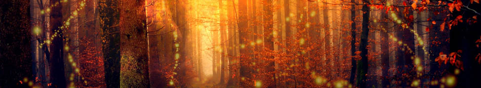 Forêt féérique aux couleurs de feu, dans laquelle serpentent des lucioles et avec un handpan en transparence